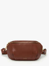 Large Leather Tradition Belt Bag Etrier Brown tradition ETRA022L