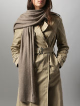 �charpe Cachemire Vercors Etrier Marron vercors EVER427U-vue-porte